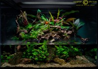 /album/paludarios/paludario-4-jpg/